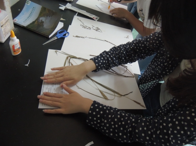 贴鉴定签 贴鉴定签